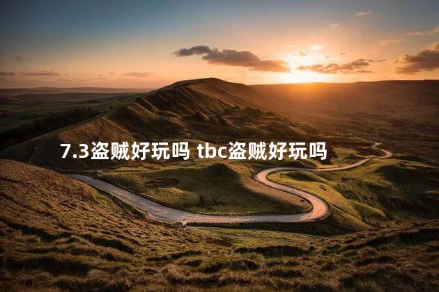 7.3盗贼好玩吗 tbc盗贼好玩吗